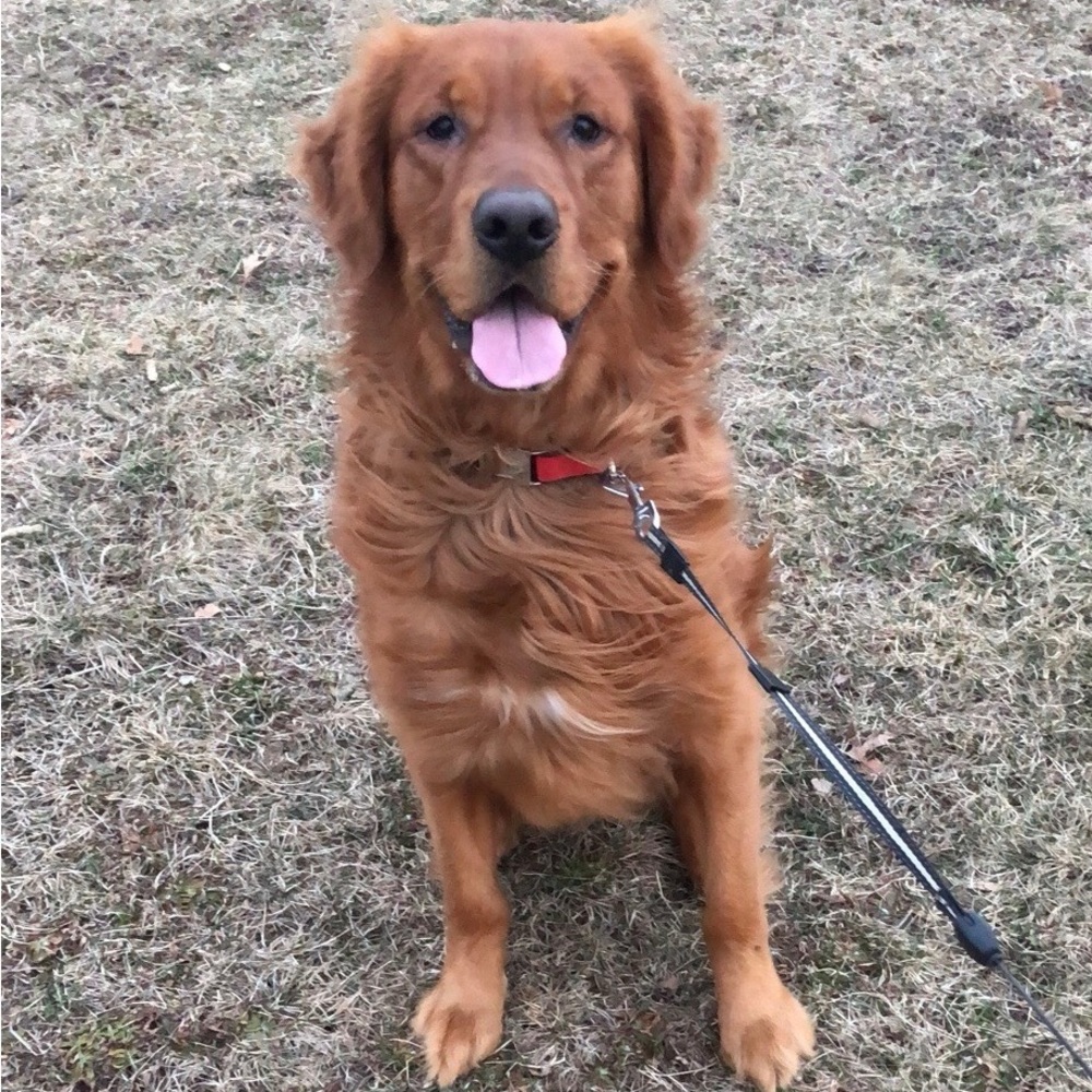 Meet your Posher, Al